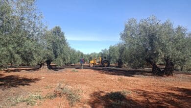 Los agricultores claman contra la nueva PAC: "Obliga a utilizar más combustible"